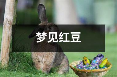 梦见红豆