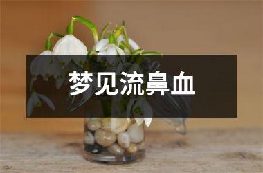 <h3>梦见流鼻血