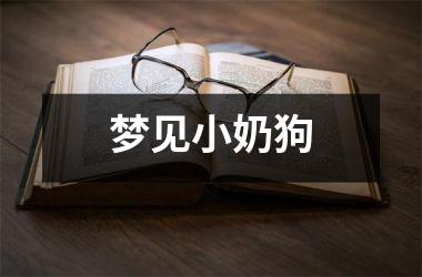 <h3>梦见小奶狗