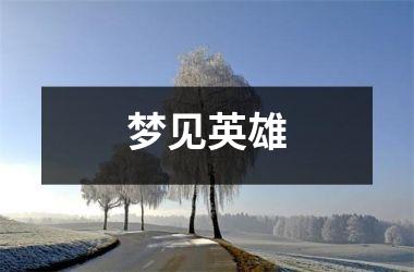 <h3>梦见英雄