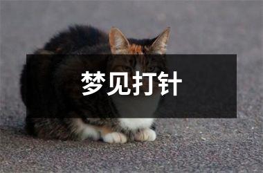 <h3>梦见打针