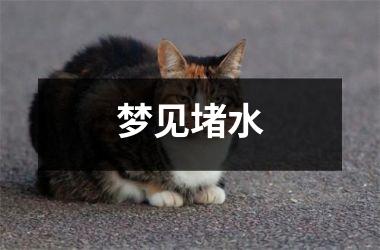 梦见堵水
