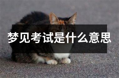 <h3>梦见考试是什么意思