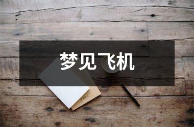 <h3>梦见飞机