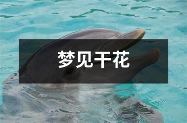 <h3>梦见干花