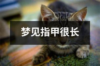 <h3>梦见指甲很长