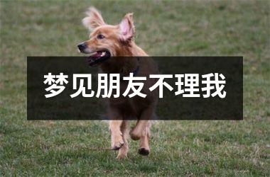 <h3>梦见朋友不理我