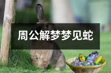 <h3>周公解梦梦见蛇