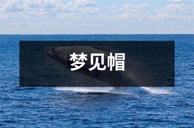 <h3>梦见帽