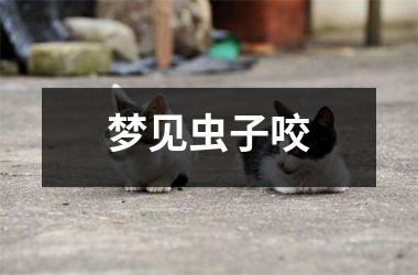 <h3>梦见虫子咬