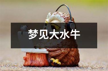 <h3>梦见大水牛
