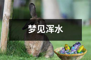 <h3>梦见浑水