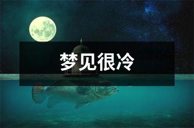 <h3>梦见很冷