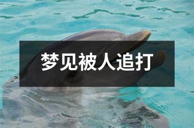 <h3>梦见被人追打