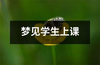 <h3>梦见学生上课