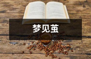 <h3>梦见茧