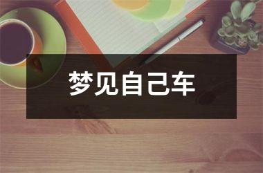 <h3>梦见自己车