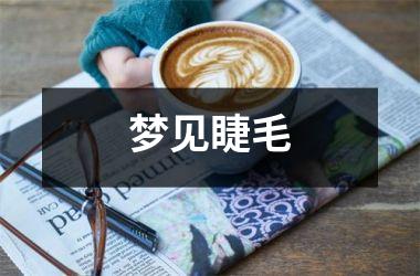 <h3>梦见睫毛