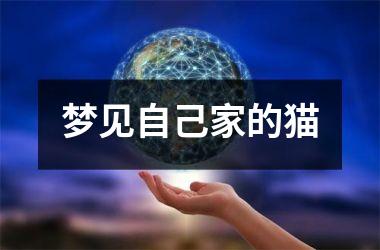 <h3>梦见自己家的猫