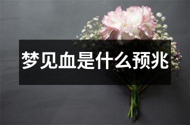 <h3>梦见血是什么预兆