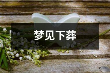 <h3>梦见下葬