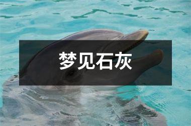 <h3>梦见石灰