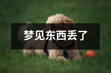 <h3>梦见东西丢了