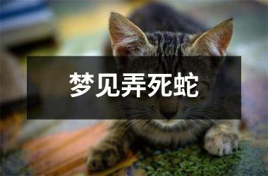<h3>梦见弄死蛇