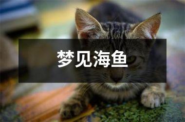 <h3>梦见海鱼