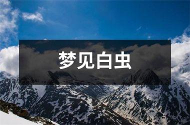 <h3>梦见白虫