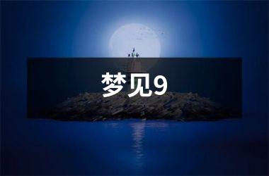<h3>梦见9