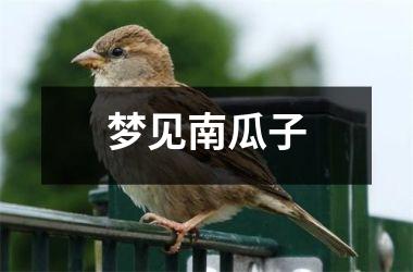 <h3>梦见南瓜子