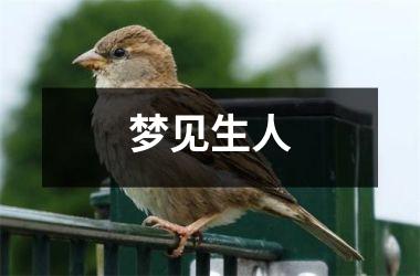 <h3>梦见生人