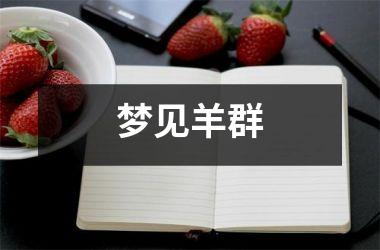 <h3>梦见羊群