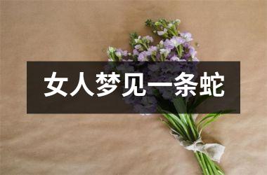 <h3>女人梦见一条蛇