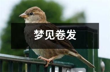 <h3>梦见卷发