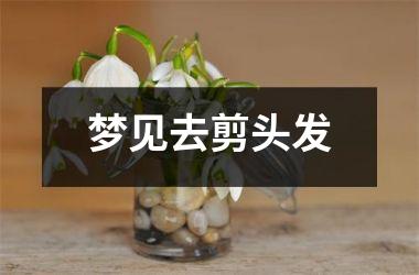 <h3>梦见去剪头发