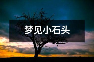 <h3>梦见小石头