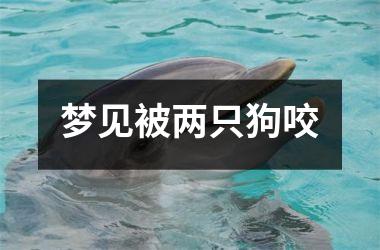 <h3>梦见被两只狗咬