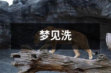 <h3>梦见洗