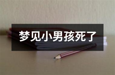 <h3>梦见小男孩死了