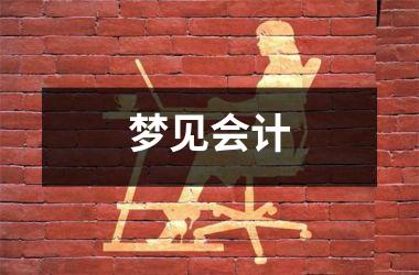 <h3>梦见会计