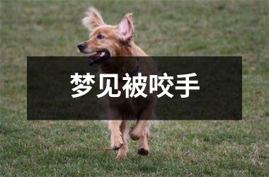 <h3>梦见被咬手
