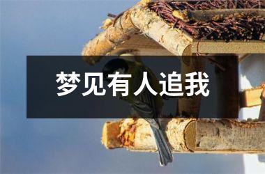 <h3>梦见有人追我