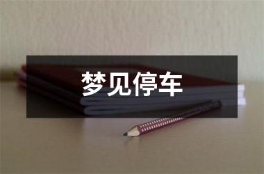 <h3>梦见停车