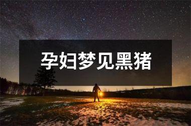 <h3>孕妇梦见黑猪