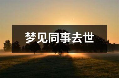 <h3>梦见同事去世