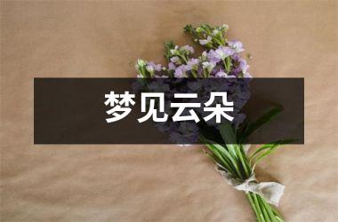 <h3>梦见云朵