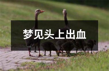 <h3>梦见头上出血
