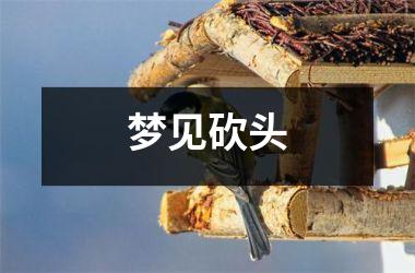 <h3>梦见砍头